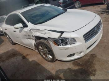  Salvage Nissan Maxima