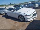 Ford Mustang Ecoboost Image 1