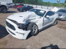 Ford Mustang Ecoboost Image 2