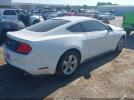 Ford Mustang Ecoboost Image 3