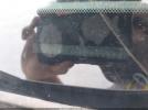 Toyota Tacoma Sr Image 10