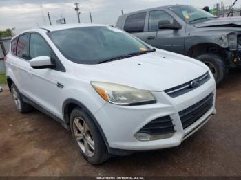  Salvage Ford Escape