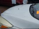 Ford Escape Se Image 3