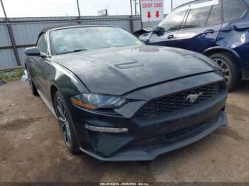  Salvage Ford Mustang