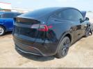 Tesla Model Y Image 15