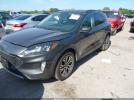Ford Escape Sel Image 4