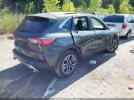 Ford Escape Sel Image 11