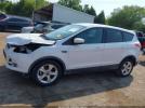 Ford Escape Se Image 13