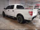 Ford F-150 Image 3