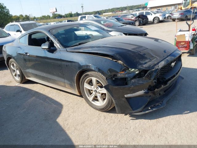Ford Mustang Ecoboost Fastback Image 1