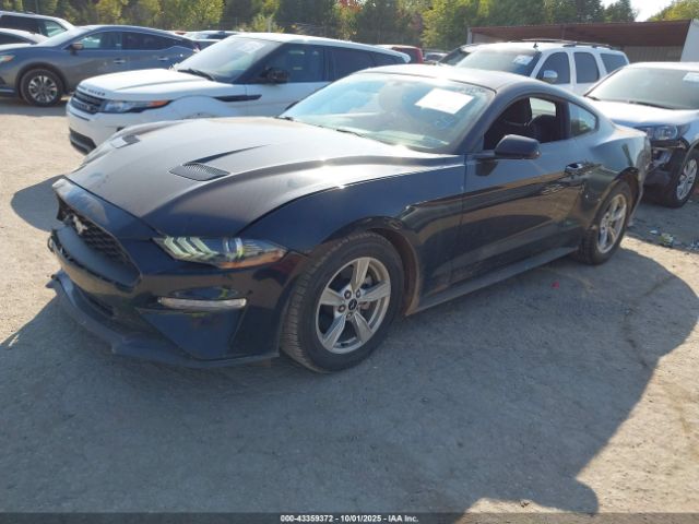 Ford Mustang Ecoboost Fastback Image 11