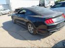 Ford Mustang Ecoboost Fastback Image 2