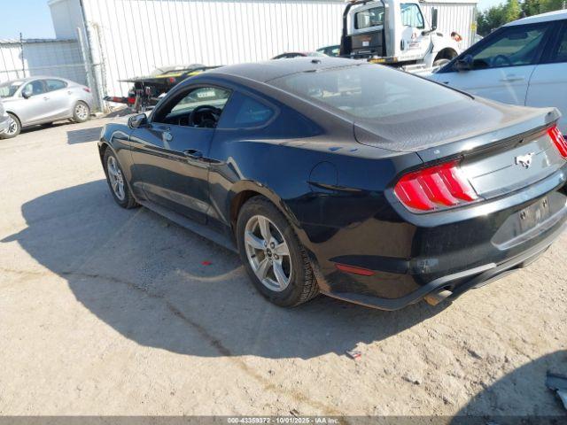 Ford Mustang Ecoboost Fastback Image 2