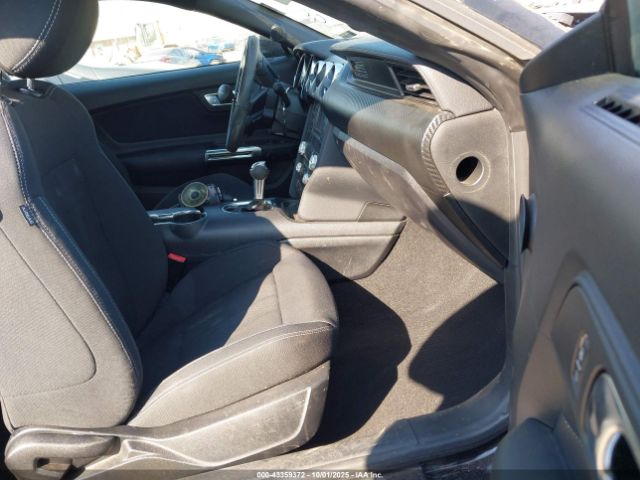 Ford Mustang Ecoboost Fastback Image 10