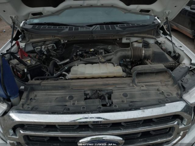 Ford F-150 Xlt Image 7