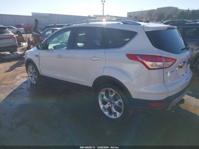 Ford Escape Titanium Image 5