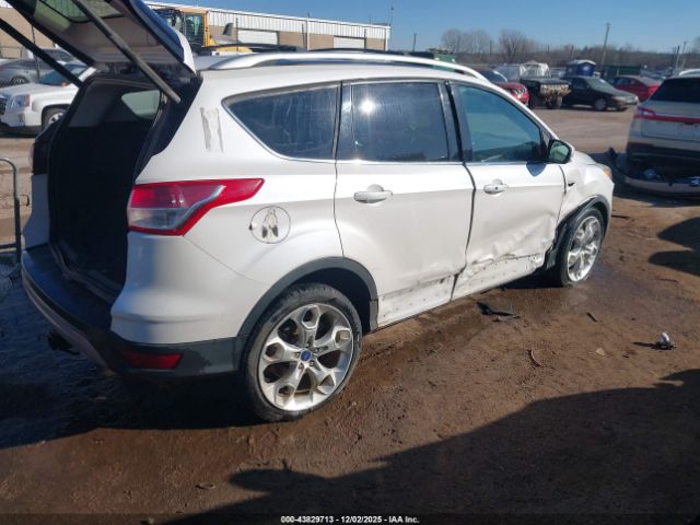 Ford Escape Titanium Image 8