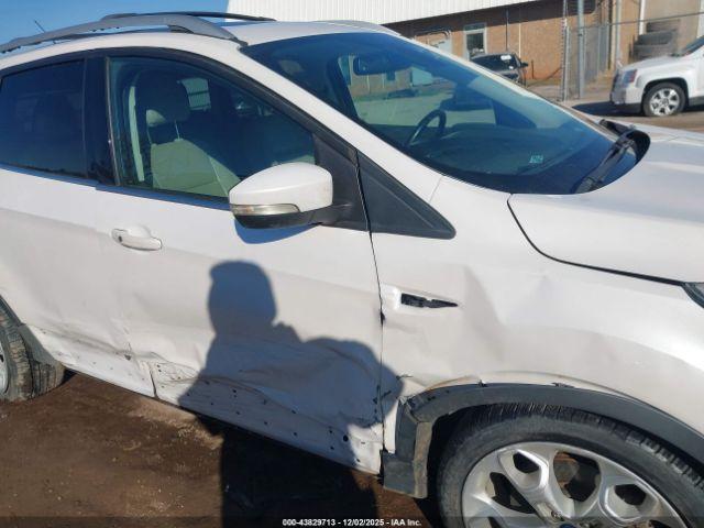 Ford Escape Titanium Image 7