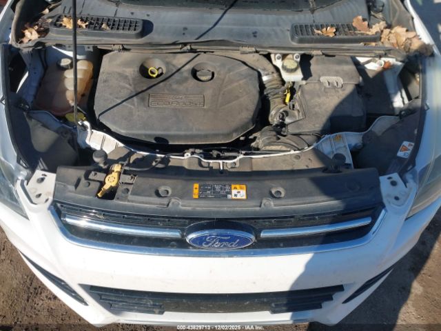 Ford Escape Titanium Image 13