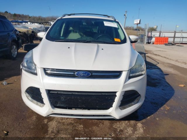 Ford Escape Titanium Image 14