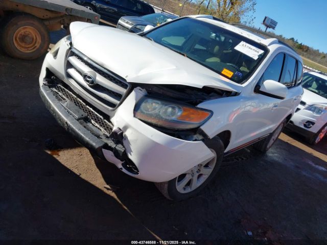 Hyundai SANTA FE Image 5