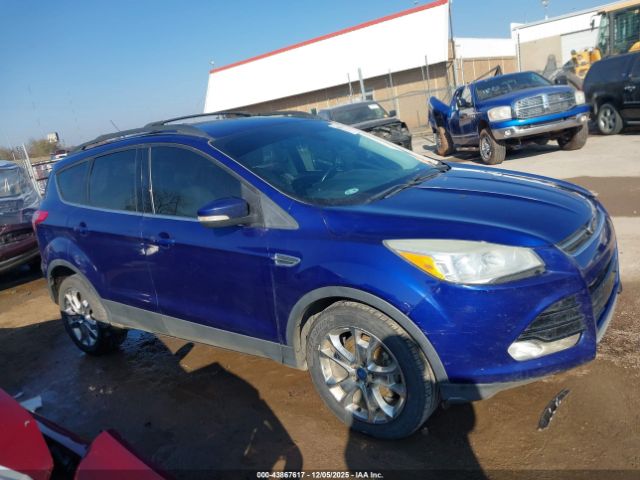 Ford Escape Sel Image 9