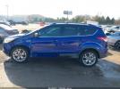 Ford Escape Sel Image 11