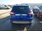 Ford Escape Sel Image 13