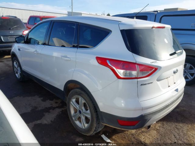 Ford Escape Se Image 3