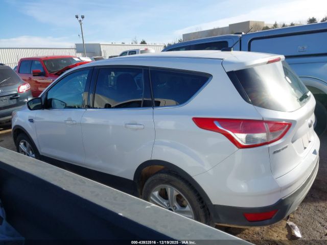 Ford Escape Se Image 12