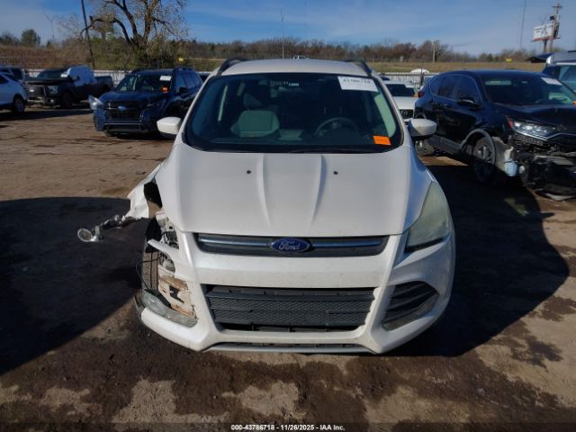 Ford Escape Se Image 7