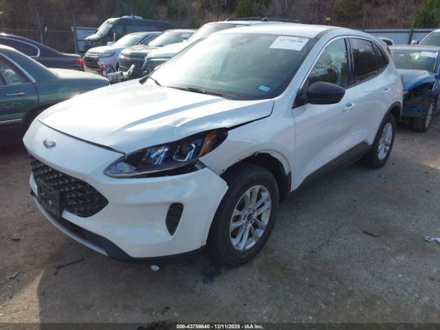 Ford Escape Se Image 3