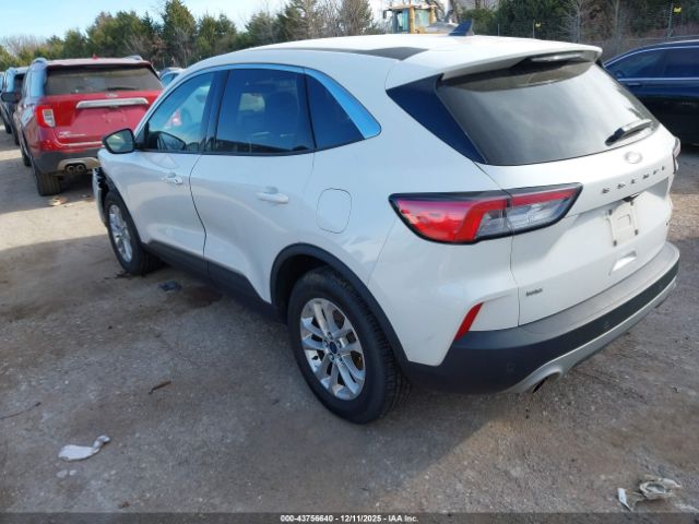 Ford Escape Se Image 5