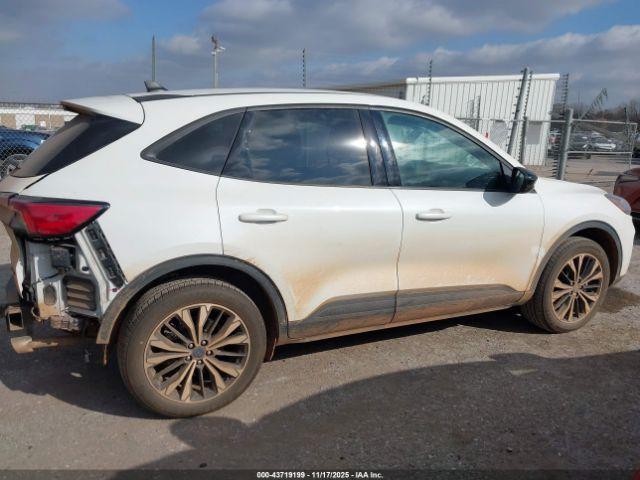 Ford Escape Sel Image 14