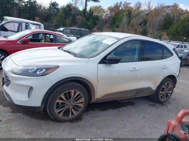 Ford Escape Sel Image 12