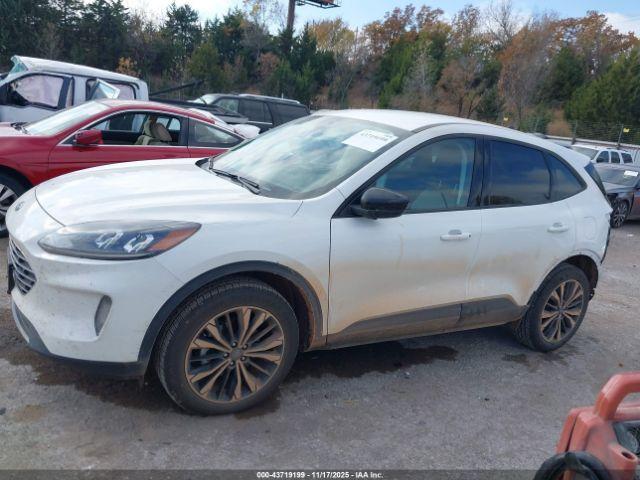 Ford Escape Sel Image 12