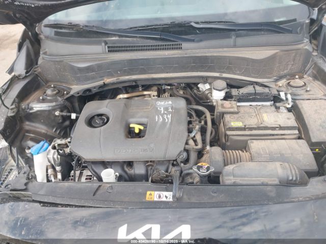 Kia Seltos Ex Image 13